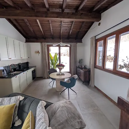 Stunning New In With Mont Blanc Views